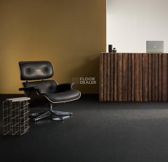 Forbo Marmoleum Solid Slate e3725-e372535 Welsh slate фото 3 | FLOORDEALER